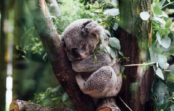 우리나라에선 보기힘든 동물들