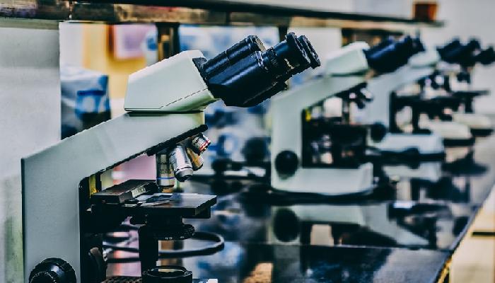 실험탐구 좋아하셨나요?