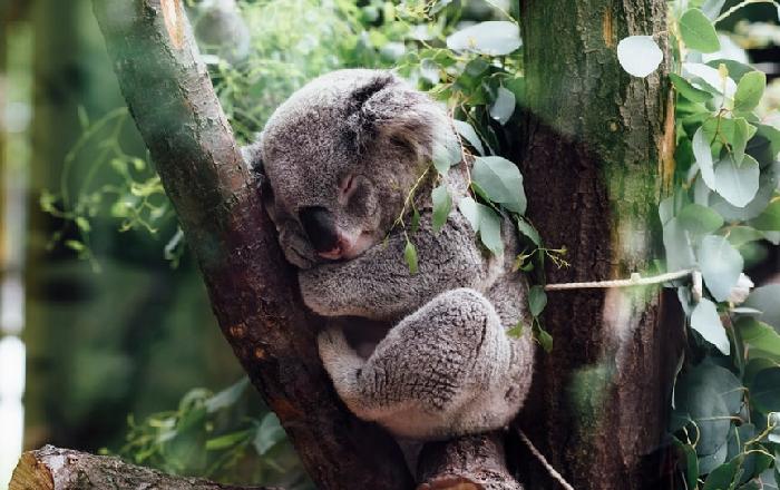우리나라에선 보기힘든 동물들