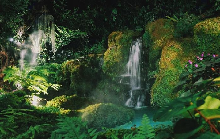 우리나라에도 정글이 있다면 어떨까요?