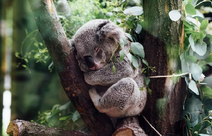 우리나라에선 보기힘든 동물들