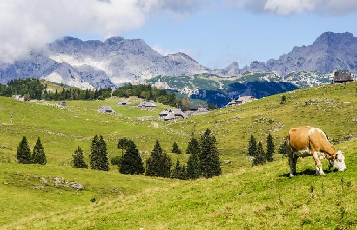 이런 동네 어떠세요?