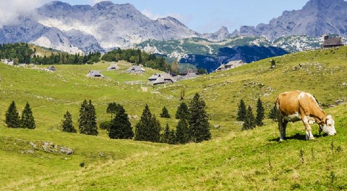 이런 동네 어떠세요?