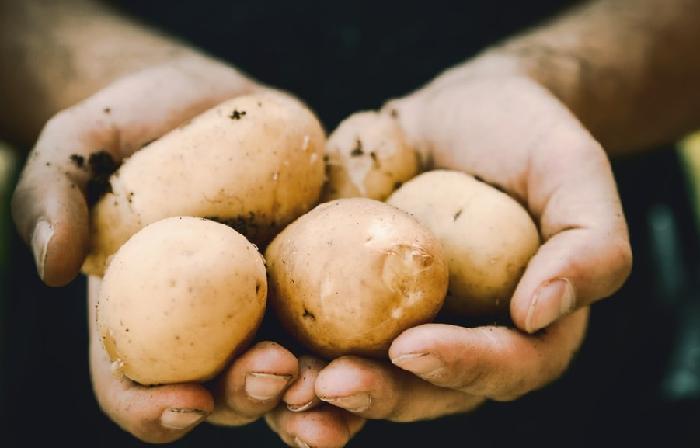 감자요리 좋아하시나요?
