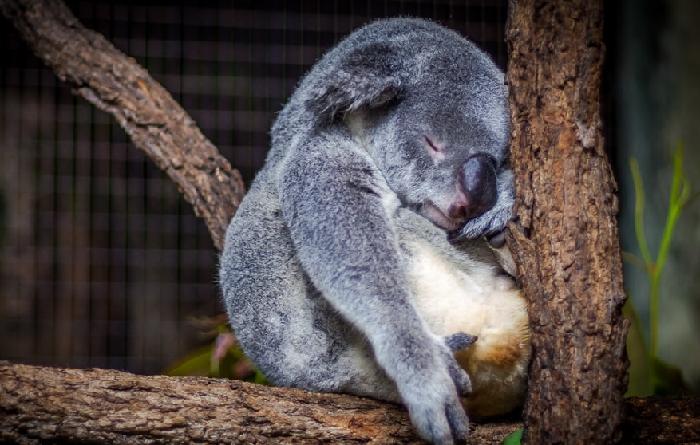 스트레스를 받는다면 일단 푹 자보세요