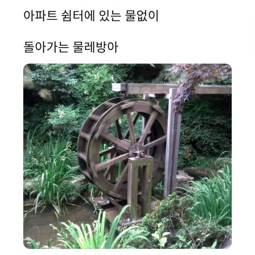 [유머] 물 없이 도는 물레방아. -  와이드섬