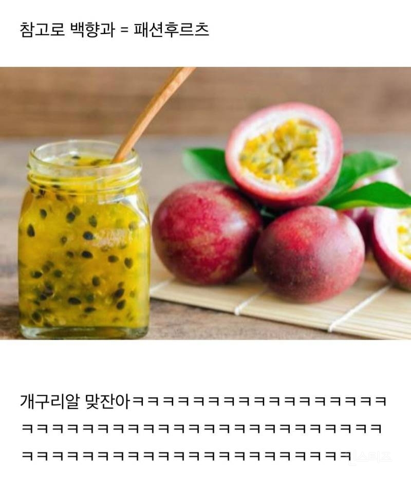 [유머] 아저씨의 개구리알 두잔. -  와이드섬