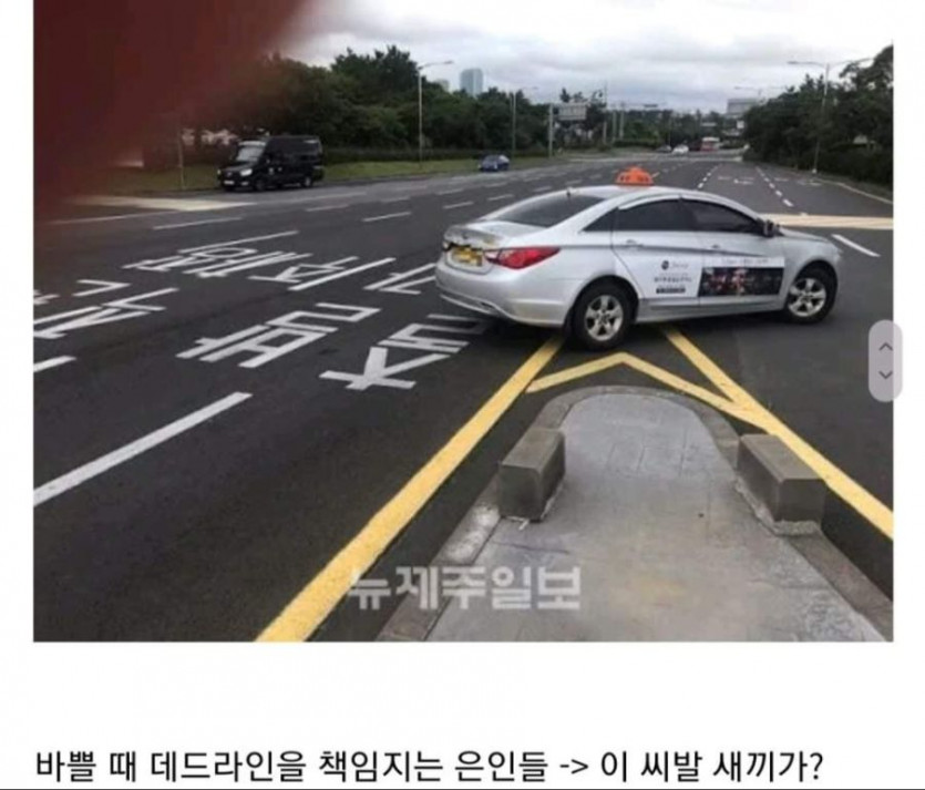 [유머] 운전하면 보이는 것들. -  와이드섬