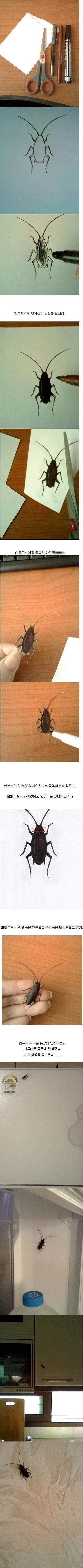 [유머] 진짜 같은 가짜. -  와이드섬