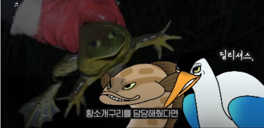 [유머] 한반도 외래종 근황 -  와이드섬