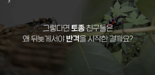[유머] 한반도 외래종 근황 -  와이드섬