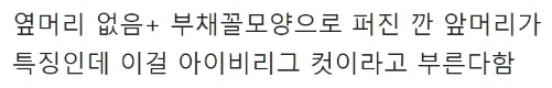 [유머] 요즘 길거리에 흔한 남자 머리스타일 -  와이드섬