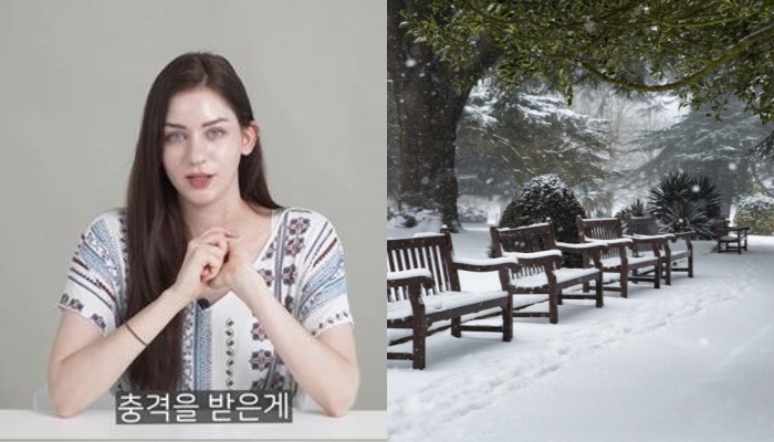 [유머] 프랑스인이 한국 거리에 없어서 놀란 것 -  와이드섬