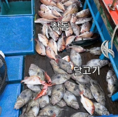 [유머] 나잇값 한다는 공유 인스타 근황 -  와이드섬