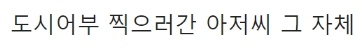 [유머] 나잇값 한다는 공유 인스타 근황 -  와이드섬