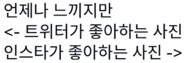 [유머] 인스타 트위터 감성 비교짤 -  와이드섬