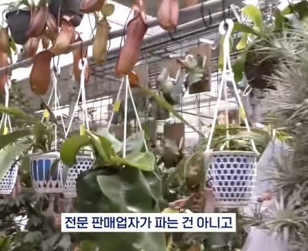 [유머] 명절에 본가 내려가서 찾으면 대박나는 것 -  와이드섬