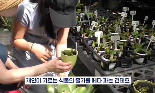 [유머] 명절에 본가 내려가서 찾으면 대박나는 것 -  와이드섬