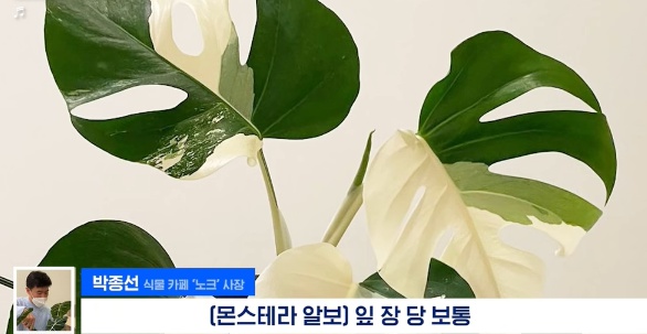 [유머] 명절에 본가 내려가서 찾으면 대박나는 것 -  와이드섬
