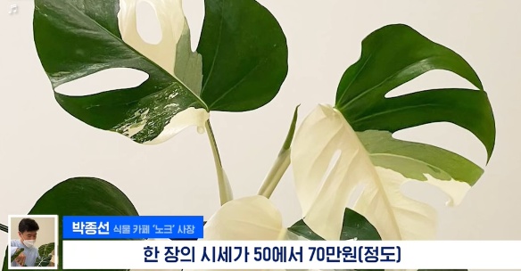 [유머] 명절에 본가 내려가서 찾으면 대박나는 것 -  와이드섬