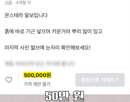 [유머] 명절에 본가 내려가서 찾으면 대박나는 것 -  와이드섬