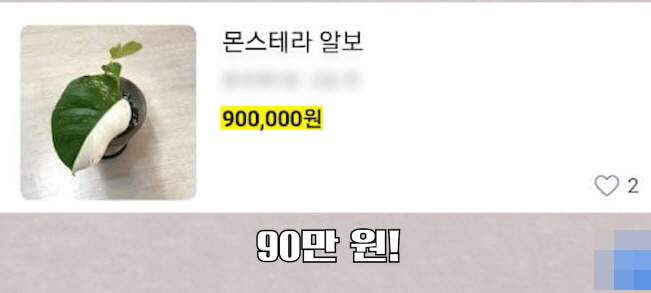 [유머] 명절에 본가 내려가서 찾으면 대박나는 것 -  와이드섬