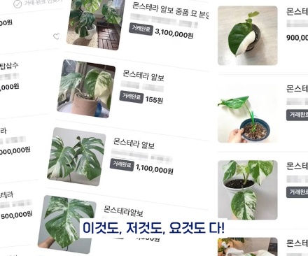 [유머] 명절에 본가 내려가서 찾으면 대박나는 것 -  와이드섬