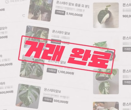 [유머] 명절에 본가 내려가서 찾으면 대박나는 것 -  와이드섬