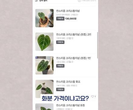 [유머] 명절에 본가 내려가서 찾으면 대박나는 것 -  와이드섬