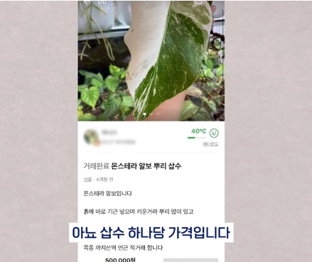 [유머] 명절에 본가 내려가서 찾으면 대박나는 것 -  와이드섬