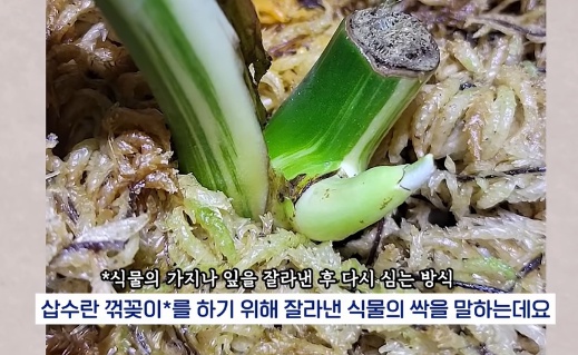 [유머] 명절에 본가 내려가서 찾으면 대박나는 것 -  와이드섬