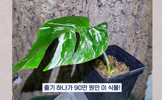 [유머] 명절에 본가 내려가서 찾으면 대박나는 것 -  와이드섬