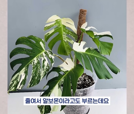 [유머] 명절에 본가 내려가서 찾으면 대박나는 것 -  와이드섬