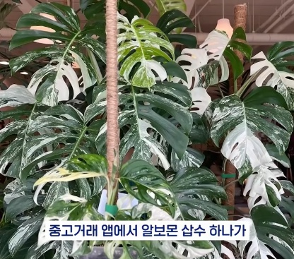 [유머] 명절에 본가 내려가서 찾으면 대박나는 것 -  와이드섬