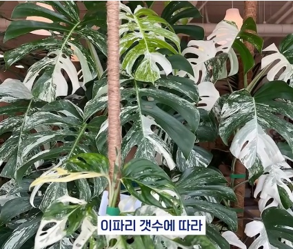 [유머] 명절에 본가 내려가서 찾으면 대박나는 것 -  와이드섬