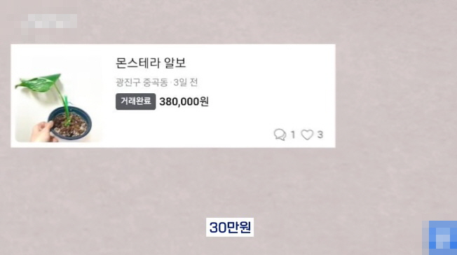 [유머] 명절에 본가 내려가서 찾으면 대박나는 것 -  와이드섬