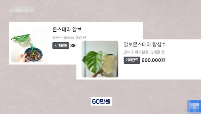 [유머] 명절에 본가 내려가서 찾으면 대박나는 것 -  와이드섬