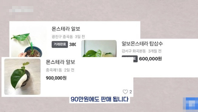 [유머] 명절에 본가 내려가서 찾으면 대박나는 것 -  와이드섬