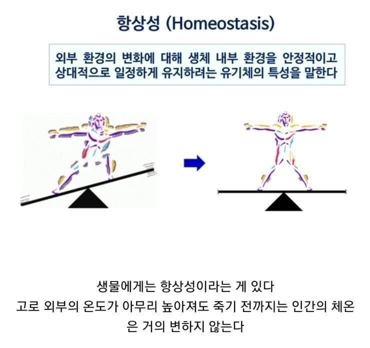 [유머] 호기심이 많은 과학자들. -  와이드섬