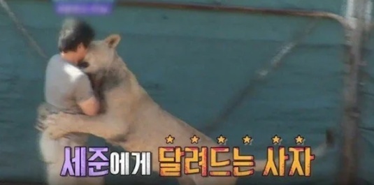 [유머] 연예계 3대 전설로 불리는 사건 -  와이드섬