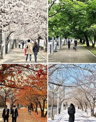 [유머] 외국인들 시선에서 바라본 대한민국 -  와이드섬