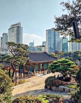 [유머] 외국인들 시선에서 바라본 대한민국 -  와이드섬