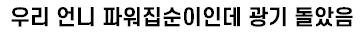 [유머] 파워집순이들이 격공한다는 특징 -  와이드섬