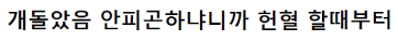 [유머] 파워집순이들이 격공한다는 특징 -  와이드섬