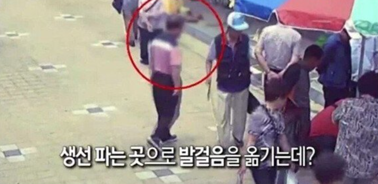 [유머] 실수로 맹독성 복어를 팔아버린 어부 -  와이드섬