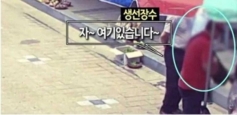 [유머] 실수로 맹독성 복어를 팔아버린 어부 -  와이드섬