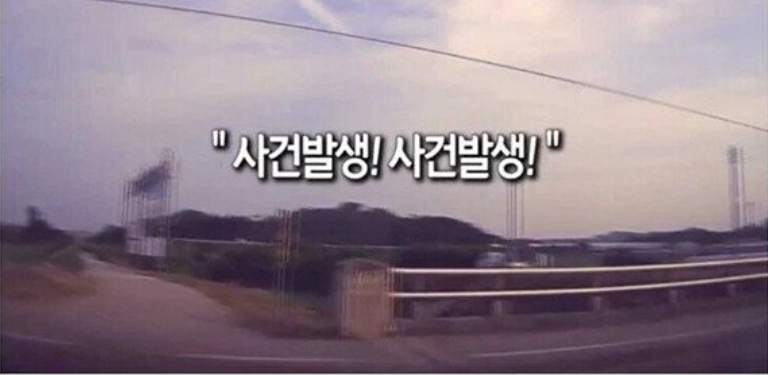 [유머] 실수로 맹독성 복어를 팔아버린 어부 -  와이드섬