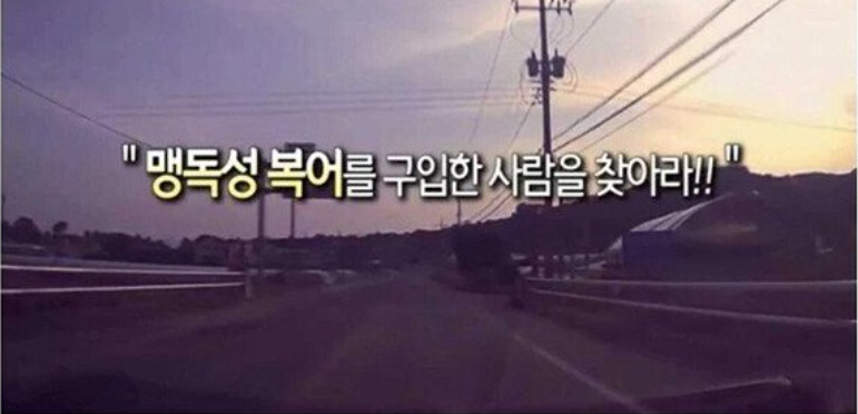 [유머] 실수로 맹독성 복어를 팔아버린 어부 -  와이드섬