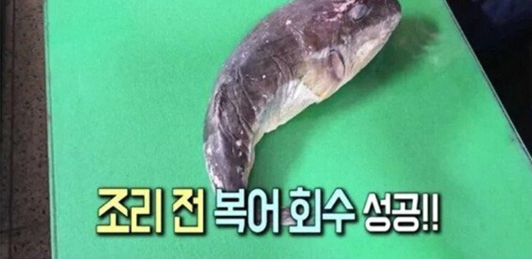 [유머] 실수로 맹독성 복어를 팔아버린 어부 -  와이드섬
