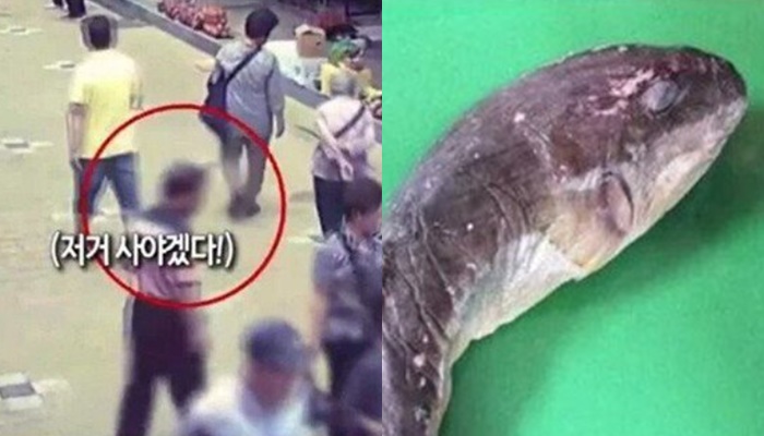 [유머] 실수로 맹독성 복어를 팔아버린 어부 -  와이드섬